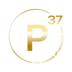 P37 Cannabis logo